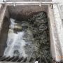 Boue retenue par le filtre rotatif dans le camion hydrocureur - Charouleau Ariège-Sud de Toulouse- Pamiers-Foix
