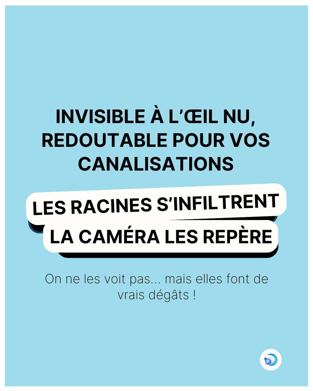 débouchage canalisation racines